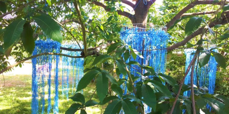 Kultursommer am Kanal 2022 – Die ganze Welt am Wegesrand