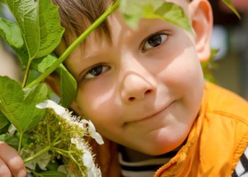 Kindern und Haustieren drohen Vergiftungen