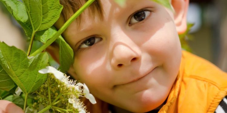 Kindern und Haustieren drohen Vergiftungen