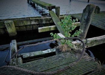 Steg in Grünhof gesperrt