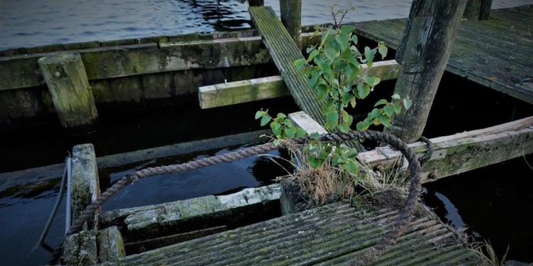 Steg in Grünhof gesperrt