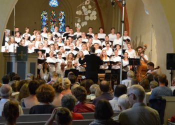 Ratzeburger Sommer-Dommusiken