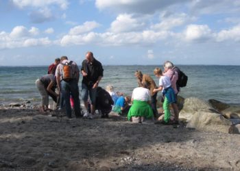 Das Ferienprogramm des GeoParks – Von Hühnergöttern zur Erdgeschichte