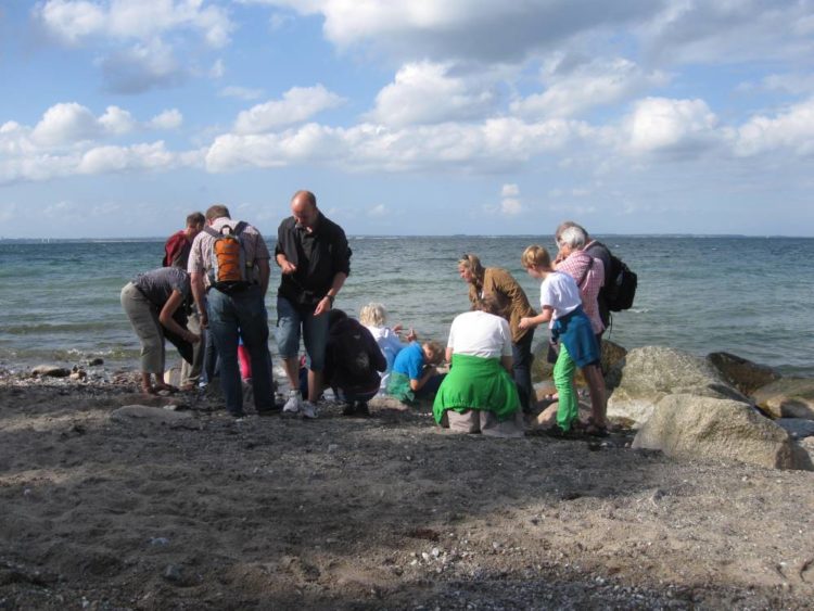 Das Ferienprogramm des GeoParks – Von Hühnergöttern zur Erdgeschichte