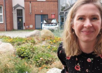 Geesthachts Dächer sollen grüner werden