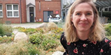 Geesthachts Dächer sollen grüner werden