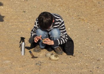 Das Ferienprogramm des GeoParks – Von Hühnergöttern zur Erdgeschichte