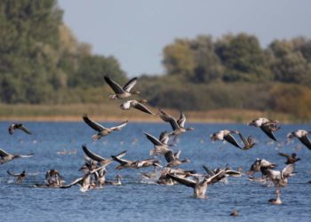Gesundes Wandern und Natur erleben