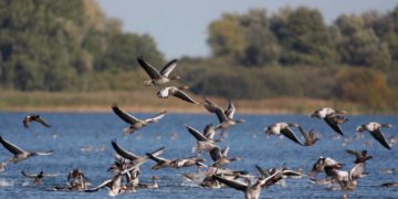 Gesundes Wandern und Natur erleben