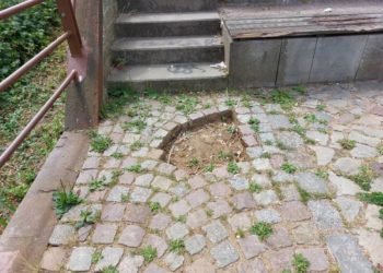 Vandalismus greift um sich