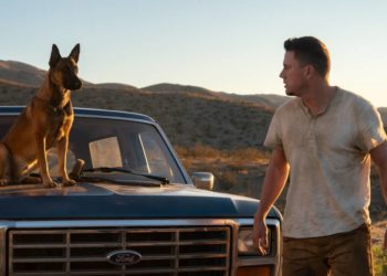 „Dog“ im Kino