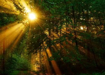 Erleben, entdecken, entspannen – Naturparktouren im Sommer