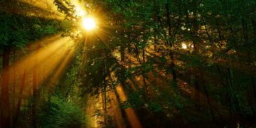 Erleben, entdecken, entspannen – Naturparktouren im Sommer