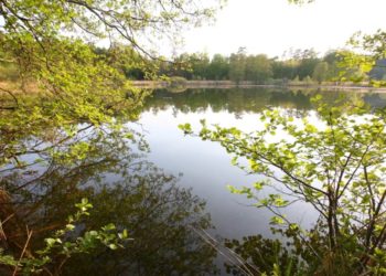 Auf Naturpark-Sommerwanderung um den Behlendorfer See