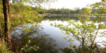 Auf Naturpark-Sommerwanderung um den Behlendorfer See