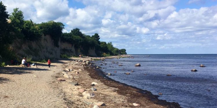Das Ferienprogramm des GeoParks – Schatzsuche am Kliff und im Kieswerk