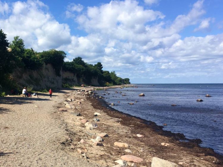Das Ferienprogramm des GeoParks – Schatzsuche am Kliff und im Kieswerk
