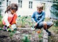 Bildung für Nachhaltigkeit: kostenfreie Fortbildungen für Erzieher und Lehrkräfte