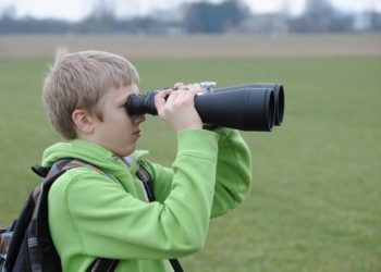 Die Dorfdetektive in Berkenthin