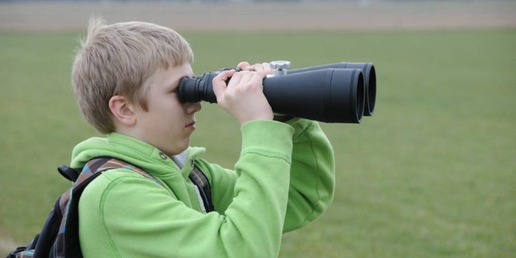 Die Dorfdetektive in Berkenthin