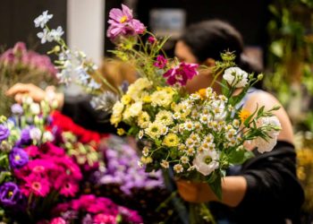 Floristik: Kräftiges Lohn-Plus für 80 Beschäftigte