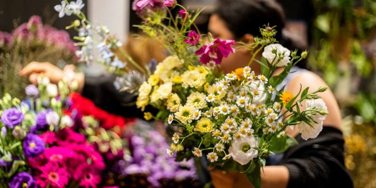Floristik: Kräftiges Lohn-Plus für 80 Beschäftigte