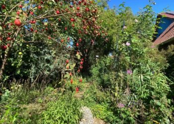 Ferien im Naturgarten