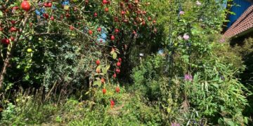 Ferien im Naturgarten