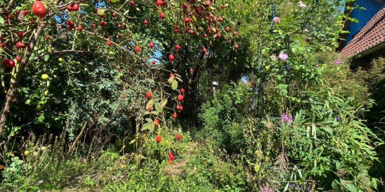 Ferien im Naturgarten