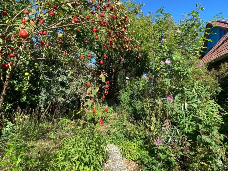 Ferien im Naturgarten