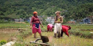„Namaste Himalaya“ am Doku-Dienstag