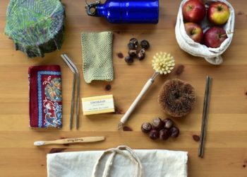 Hier wächst Zukunft!