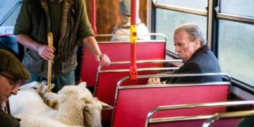 Montagskino: „Der Engländer, der in den Bus stieg und bis ans Ende der Welt fuhr“