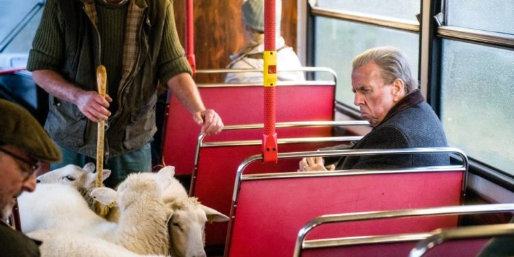 Montagskino: „Der Engländer, der in den Bus stieg und bis ans Ende der Welt fuhr“