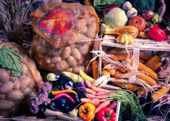 Erntedank im Kirchenkreis vereint Kirche und Landwirtschaft