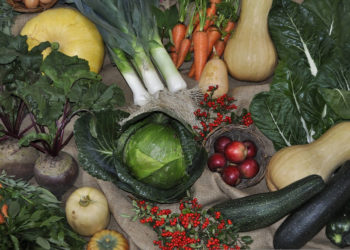 SOLAWI JORD feiert Erntedankfest