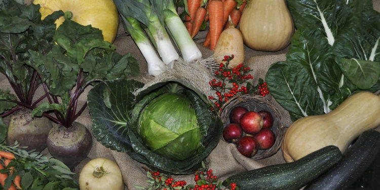 SOLAWI JORD feiert Erntedankfest