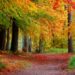 Naturparktouren locken in die bunte Herbstnatur