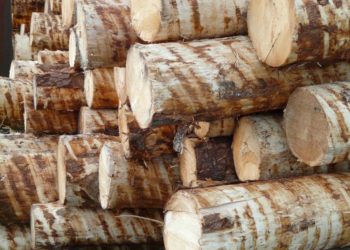 Nachhaltigkeit, Lebensgefühl und Herzensangelegenheiten