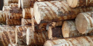 Nachhaltigkeit, Lebensgefühl und Herzensangelegenheiten