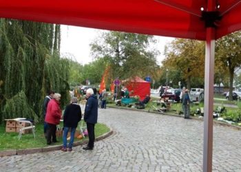 Pflanzenflohmarkt am Tag der Deutschen Einheit