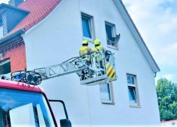 Möllner Feuerwehr: 41 Hilfeersuchen im August