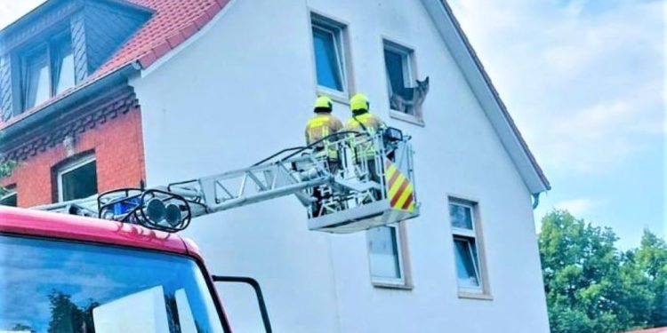 Möllner Feuerwehr: 41 Hilfeersuchen im August
