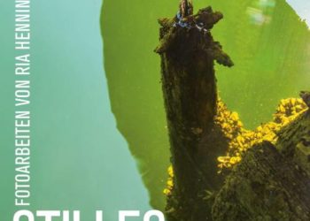 „Stilles Wasser“