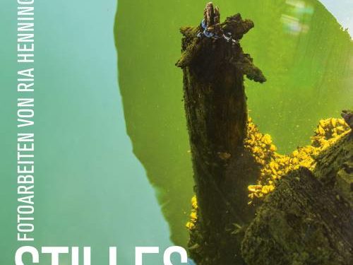 „Stilles Wasser“