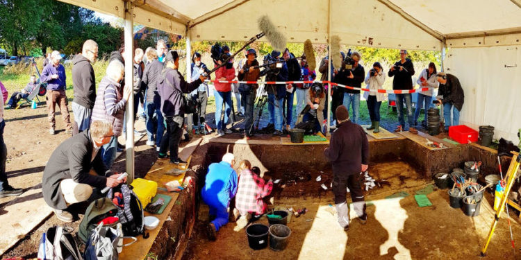 Sensationsfund im Duvenseer Moor