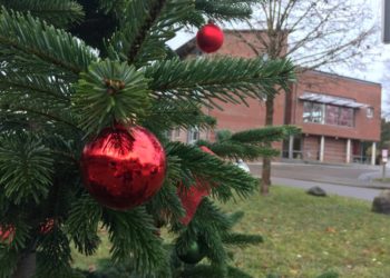 Weihnachtsbäume für öffentliche Bereiche gesucht