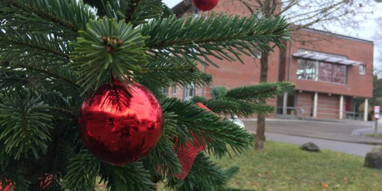 Weihnachtsbäume für öffentliche Bereiche gesucht