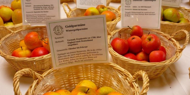 23. ApfelTag im UNESCO-Biosphärenreservat Schaalsee