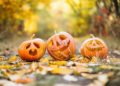 Bunte Herbstferien für Kinder und Jugendliche in Ratzeburg